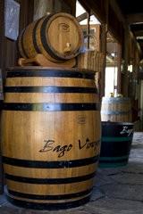 Bago Vineyard-2