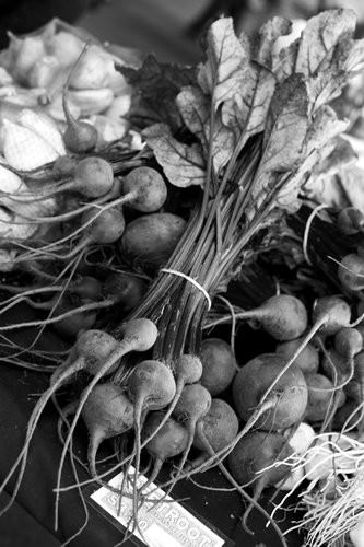 Black and White Beetroot-2