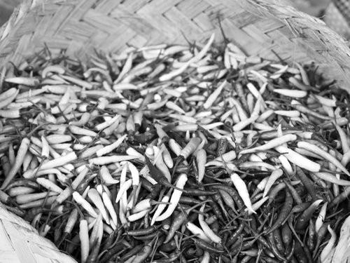 Black and White Dried Chilis