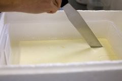 Cheesemaking Workshop-10