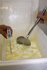 Cheesemaking Workshop-16