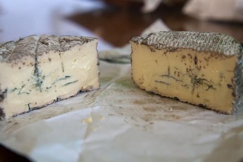 Comboyne Culture Cheese, Blue Brie