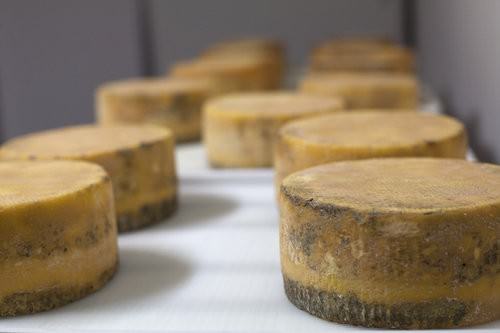 Comboyne Culture Cheese, Thone River Blue-2