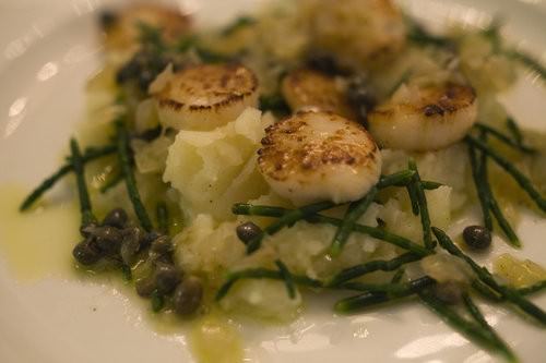 Grilled Scallop on smashed potato
