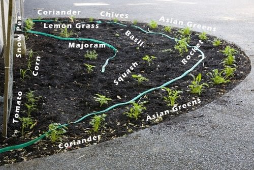 Herb Garden