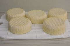 Homemade Camembert-3