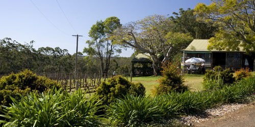 Innes Lake Vineyard