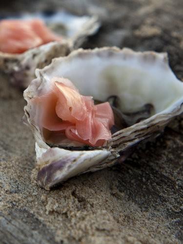 Japanese Style Oysters-3