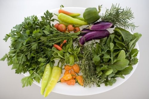 Kitchen Garden