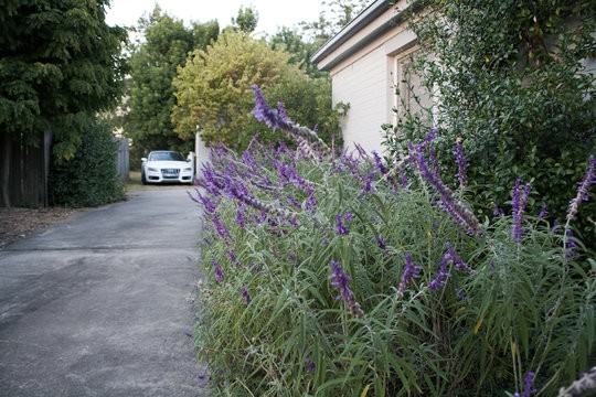 Lavanda B & B Tamworth, Tamworth accomodation-2