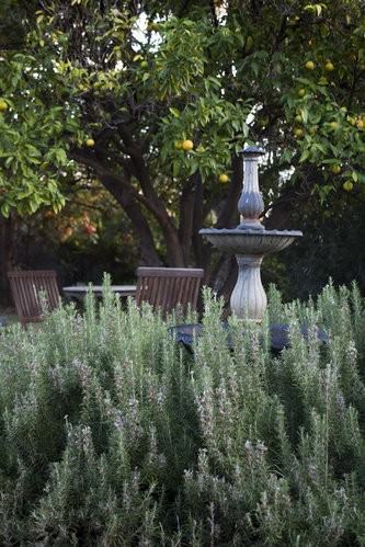 Lavanda B & B Tamworth