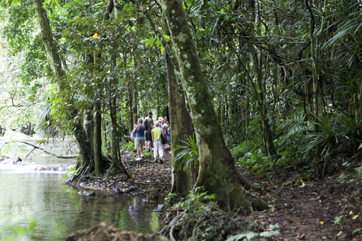 Pacific Dawn, week fantastique, eco tour vanuatu