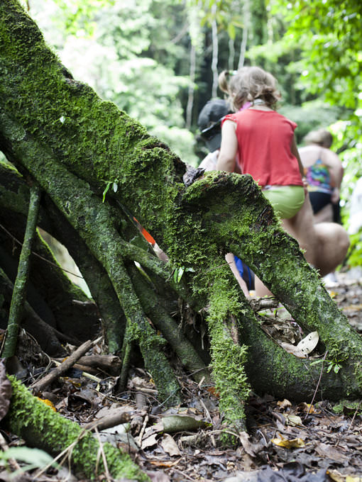 Pacific Dawn, week fantastique, vanuatu eco tour-2