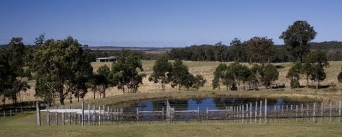 Roses Vineyard-2