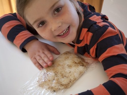 Seasoned Rice