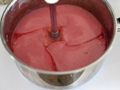 sorbet, gelato making-2