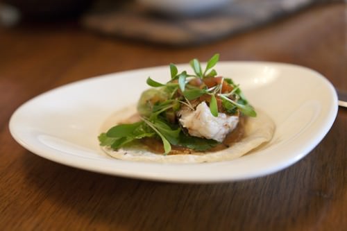 Poached Scampi in Agave Taco