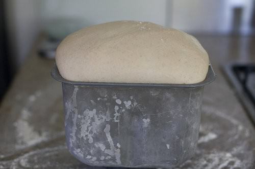 Bread Dough