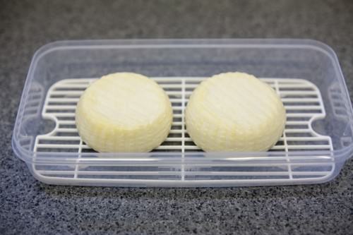 Homemade Camembert Drying
