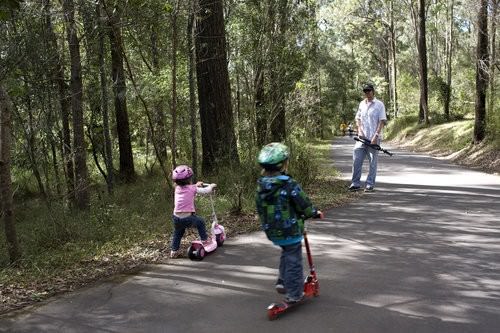 Gold Coast Hinterland -Cedar Falls Walk