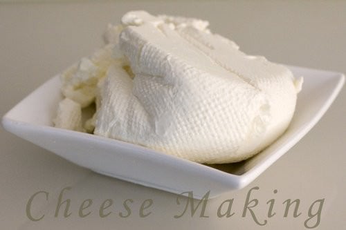 Cheese Making