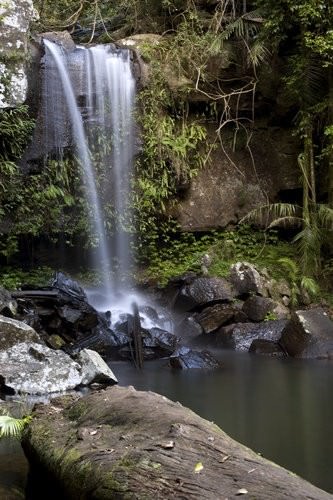 Gold Coast Hinterland - Curtis Falls