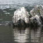 A Rock in Dove Lake