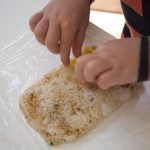Forming the seasoned rice