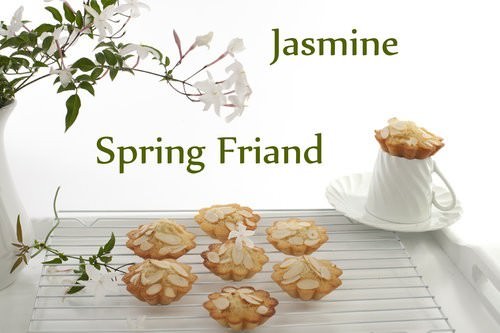 Spring Friand Recipe