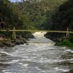 Tamar Suspension Bridge