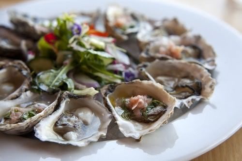 The Jaaning Tree Nambucca Heads, oysters