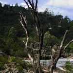 Cataract Gorge and the Tamar River