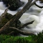 Guide Falls Tamar Valley