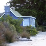 Shack @ Cockle Bay