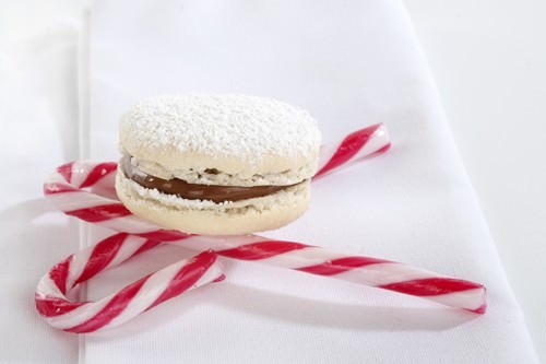 Christmas Macaron & Candy Cane