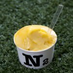 Mango Sorbet