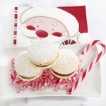 Santa Macarons