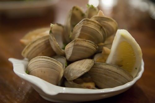 Auckland Clams