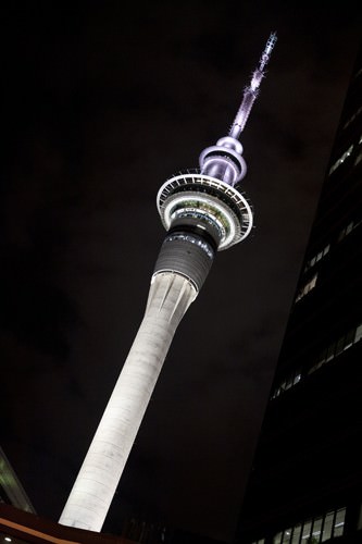 Auckland by Night