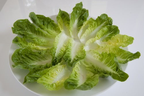 lettuce leaves for potato salad