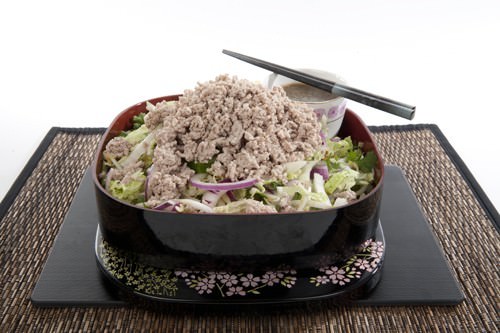 Healthy Crunchy Asian Pork Salad Healthy Crunchy Asian Pork Salad