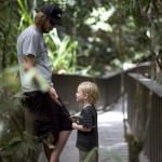 Mosman Gorge Image