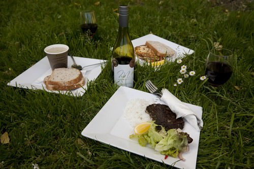 Kaikoura-New-Zealand-Seafood-Picnic