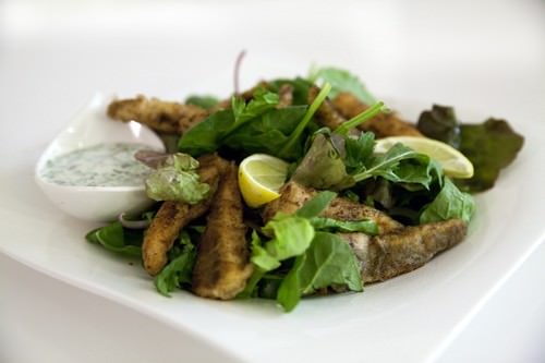 Lemon Flathead w Homemade Tartare Sauce Lemon Flathead w Homemade Tartare Sauce