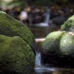 Mosman Gorge