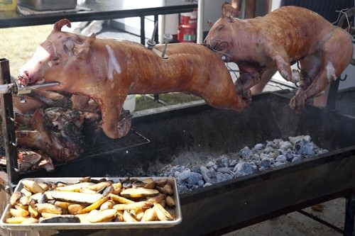 Cooking pig on a spit Cooking pig on a spit