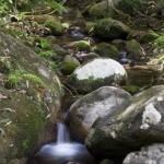 Mosman Gorge