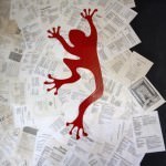 Red-Frog-Cafe