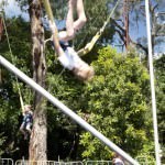 Carrara Market Bungee