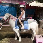Carrara Markets Pony Rides